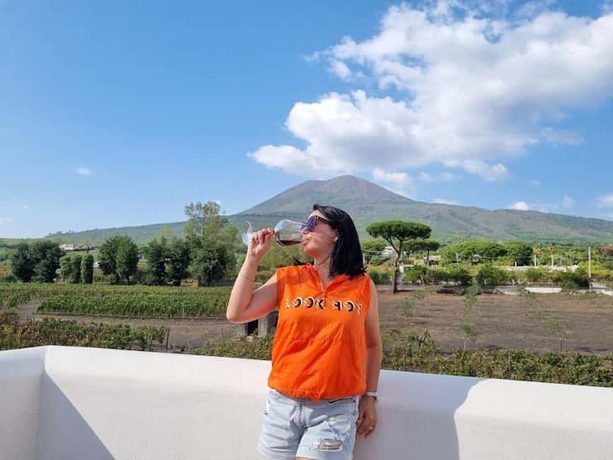 Mount Vesuvius: Vineyards Tour with Wine Tasting and Lunch - From grape to bottle in the cellar