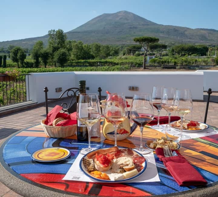 Mount Vesuvius: Vineyards Tour with Wine Tasting and Lunch - Is $73 a fair price?