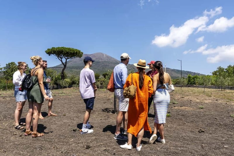 Mount Vesuvius: Vineyards Tour with Wine Tasting and Lunch - Who should book this Vesuvius wine tour?