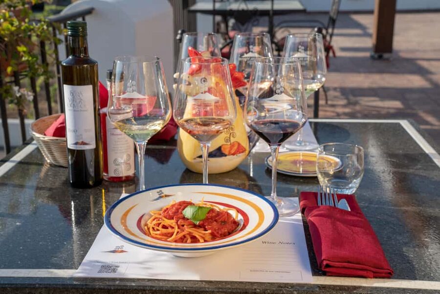 Mount Vesuvius: Vineyards Tour with Wine Tasting and Lunch - Walking through the Vesuvian vineyards