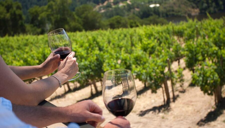 Mount Vesuvius Wine Tour with Tastings and Lunch - Spaghetti, reserve wine, and Neapolitan pastiera