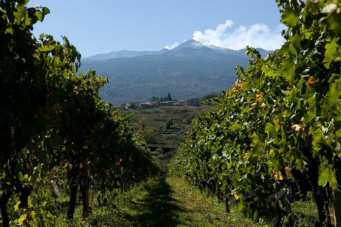 Mt Etna and Wine tasting tour from Catania - Optional cable car, 4x4 bus, and other activities