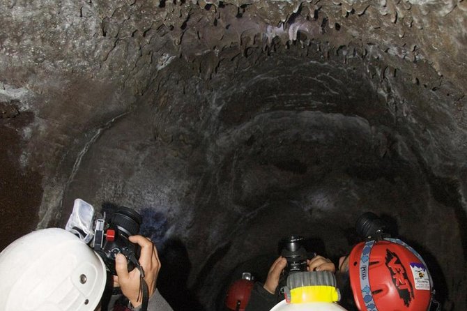 Mt. Etna nature and flavors half day Tour from Catania - The guides are the heart of the experience