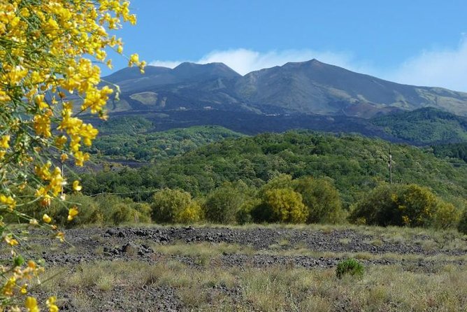 Mt. Etna nature and flavors half day Tour from Catania - Timing, transport, and what to bring