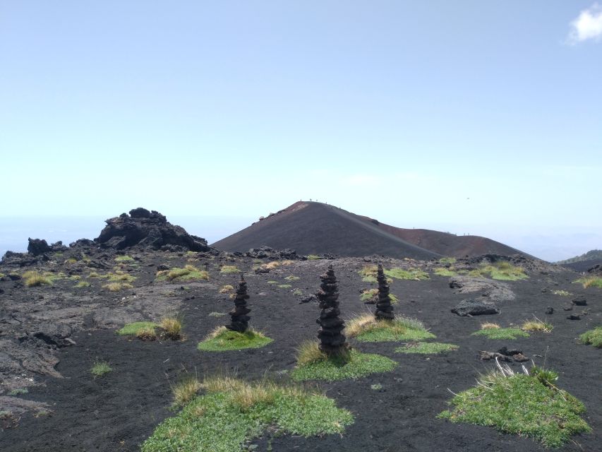 Mt. Etna: Private Tour in 4x4 from Taormina - Etna Park, forest, and old lava flows