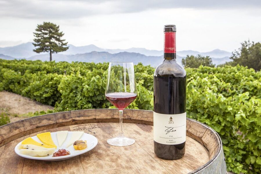 Mt. Etna Private Tour with Food and Wine Tasting - A private start from Taormina or the coast
