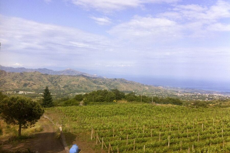 Mt. Etna Private Tour with Food and Wine Tasting - Reaching Rifugio Sapienza at 2,000 meters