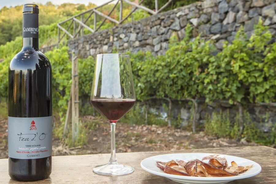 Mt. Etna Private Tour with Food and Wine Tasting - Deciding on the €79 cable-car and 4x4 option