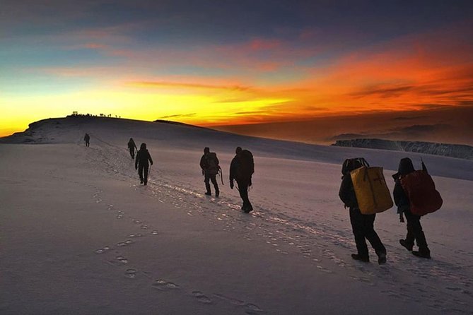 Mt Kilimanjaro 360° Trek with Once-in-a-Lifetime Crater Camping - The first climb from Moshi to Mti Mkubwa