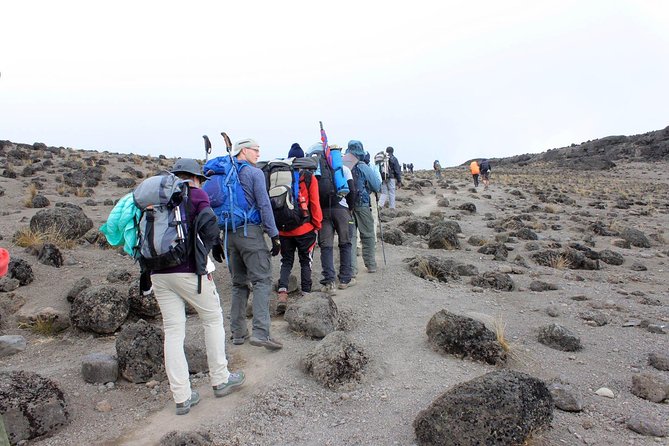 Mt Kilimanjaro 360° Trek with Once-in-a-Lifetime Crater Camping - School Hut and the long wait for summit night