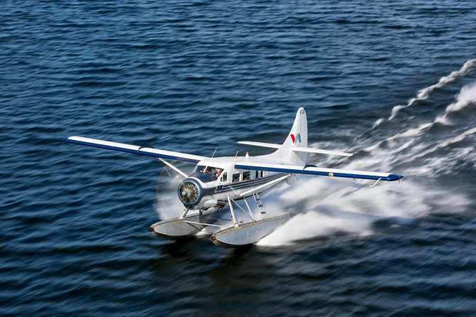 Mt. Tarawera Volcano Scenic Floatplane Tour from Rotorua - Key points to know before booking