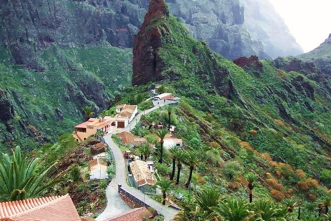 Mt. Teide and Masca Valley Tour in Tenerife - Is the $61.55 Price Good Value?