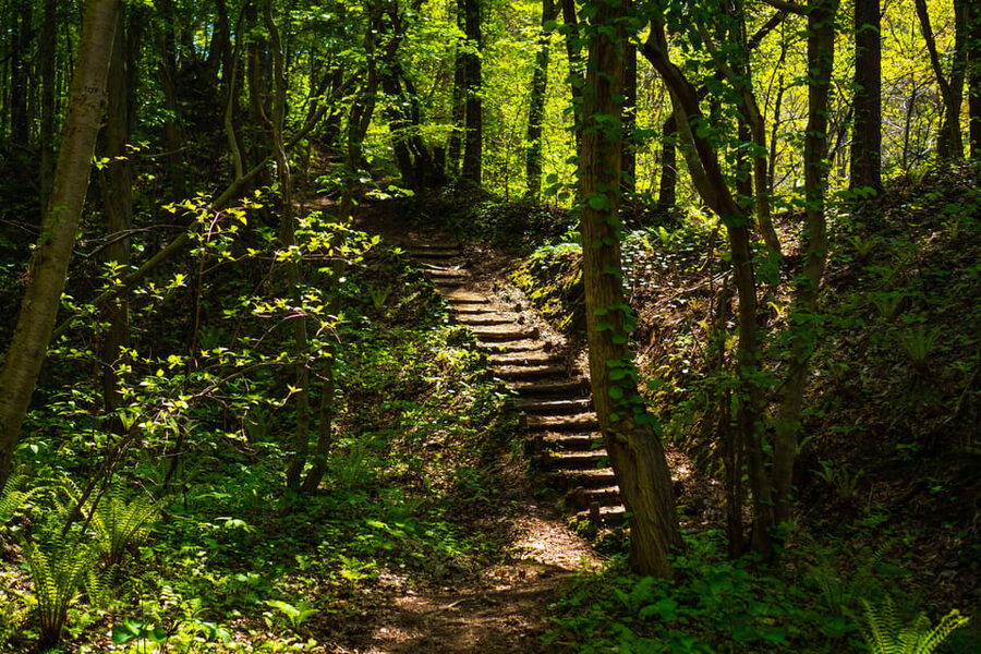 Mt. Usu: Hike to the crater and see the stunning Lake Toya! - What Aidan adds to the day