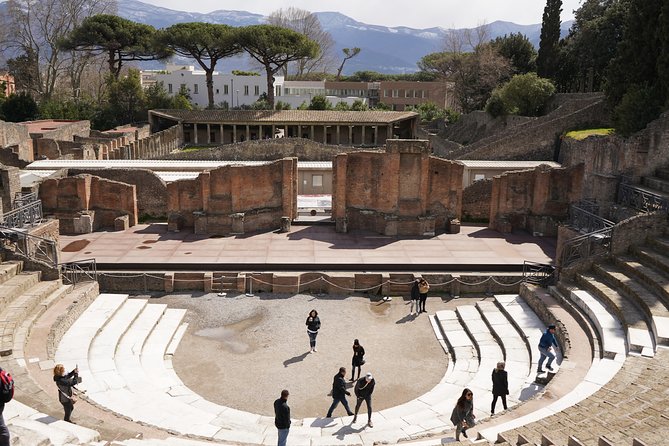 Mt Vesuvius and Pompeii Tour by Bus from Sorrento - Climbing Mount Vesuvius from 1,000 meters