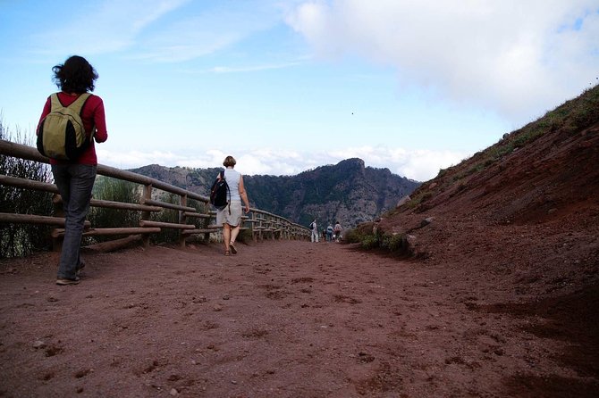 Mt Vesuvius and Pompeii Tour by Bus from Sorrento - What the guide adds