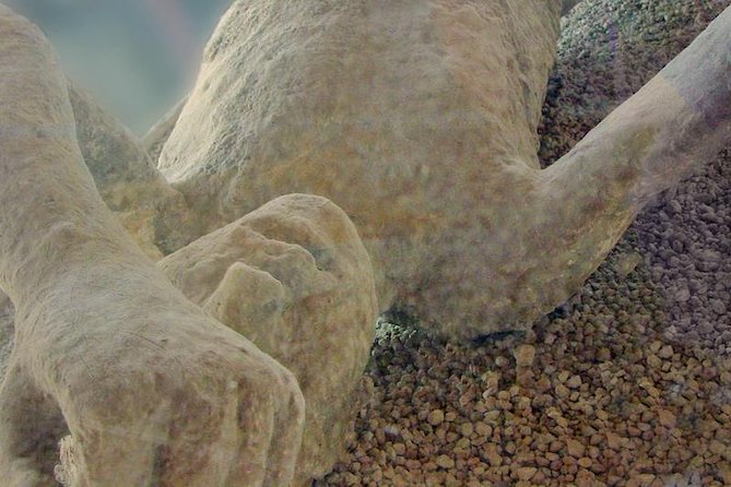 Mt Vesuvius and Pompeii Tour by Bus from Sorrento - Who should book this tour?