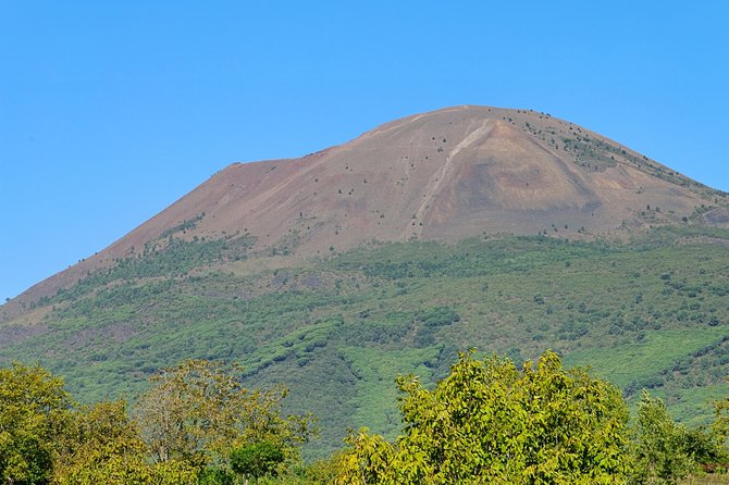 Mt Vesuvius Half-Day Trip from Naples - Through Torre del Greco to Vesuvius National Park
