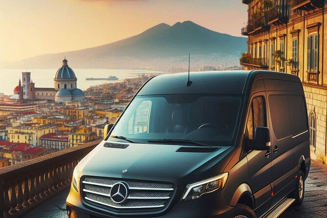 Mt. Vesuvius, Pompeii & Sorrento day-trip in 8 hours (privately) - Key points to know before booking