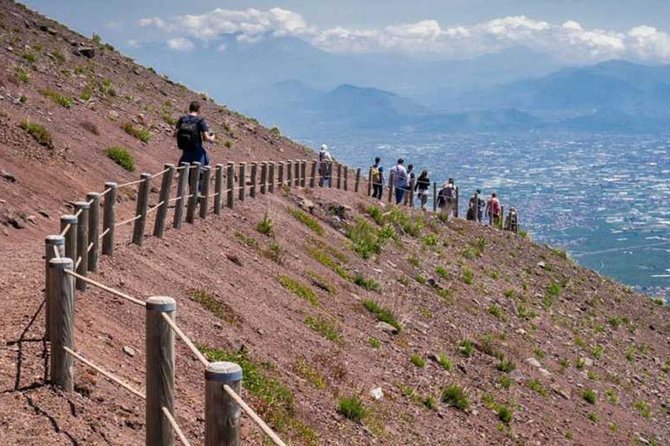 Mt. Vesuvius, Pompeii & Sorrento day-trip in 8 hours (privately) - What is included, and what will cost extra