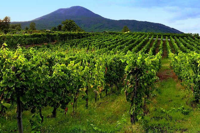 Mt. Vesuvius Tour from Naples with Lunch at a Vineyard Included - Lunch at a vineyard and the wine tasting question