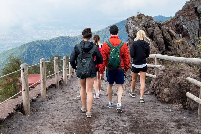 Mt. Vesuvius Tour from Naples with Lunch at a Vineyard Included - Should you book the Mount Vesuvius and vineyard tour?