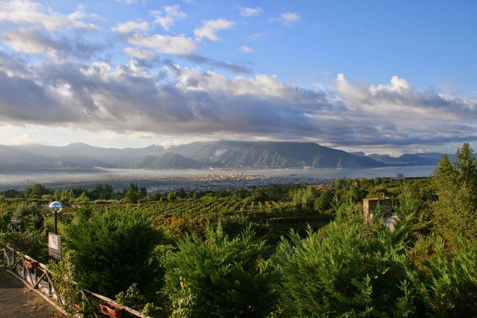 Mt. Vesuvius Wine Tasting and Lunch Experience from Pompeii - The wine tasting: local bottles with a personal touch