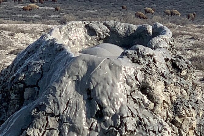 Mud Volcanoes & Gobustan Private Tour - The private vehicle is part of the value