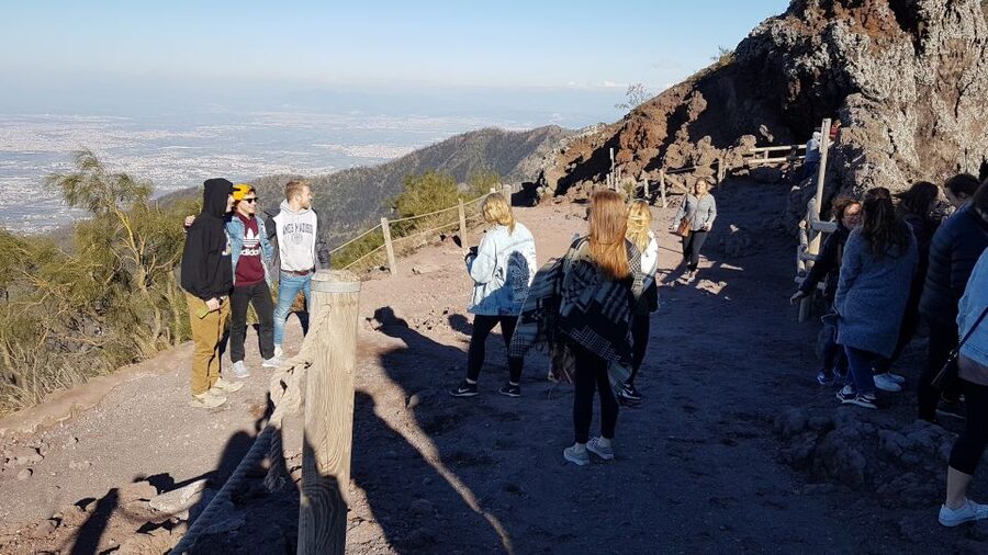 Naples: Herculaneum and Vesuvius Day Trip - Who will enjoy this day trip?