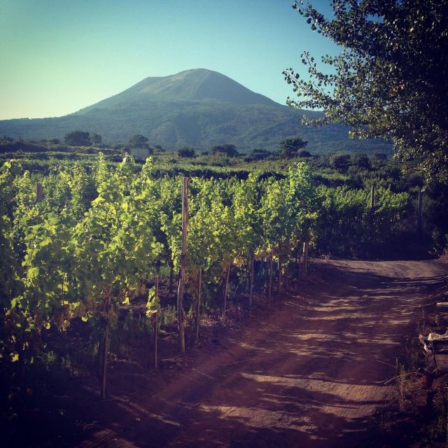 Naples: Mount Vesuvius Vineyard Tour w/ Lunch & Wine Tasting - The View From the Lunch Table