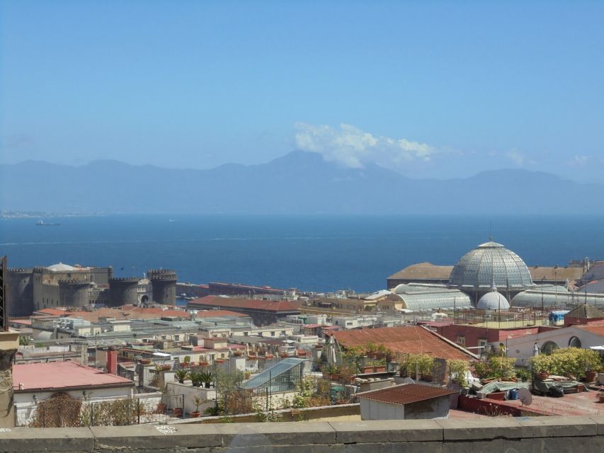 Naples: Naples, Pompeii, and Vesuvius Full-Day Tour - Key points to know before booking