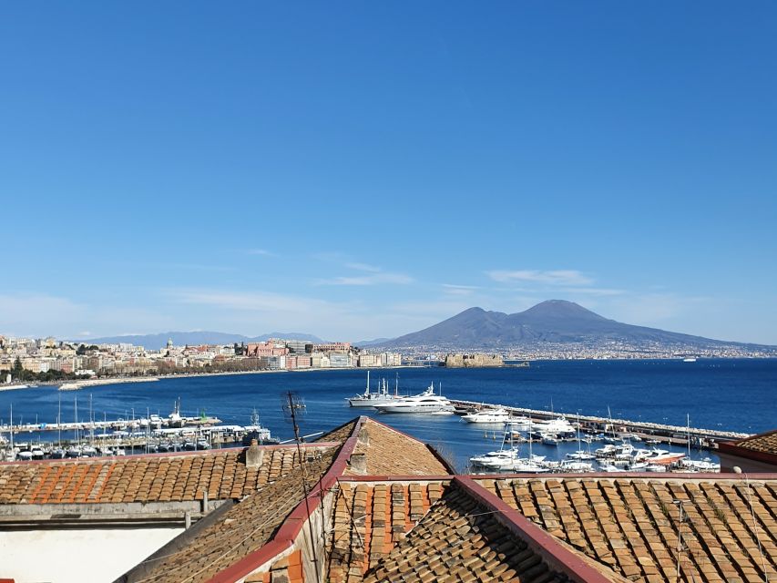 Naples: Naples, Pompeii, and Vesuvius Full-Day Tour - Walking around Vesuvius at nearly 1,200 meters