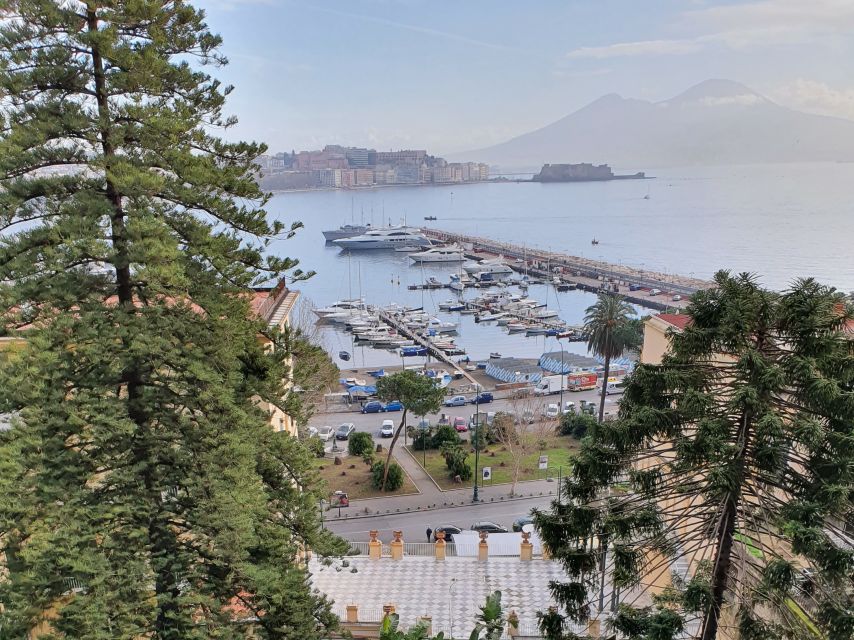 Naples: Naples, Pompeii, and Vesuvius Full-Day Tour - Transport, guides, and the rhythm of the day
