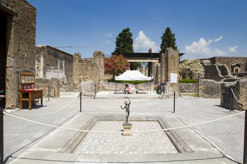 Naples or Sorrento: Full-Day Pompeii and Mount Vesuvius Tour - Walking through Pompeii with a guide