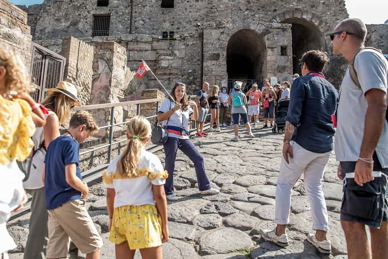 Naples or Sorrento: Full-Day Pompeii and Mount Vesuvius Tour - Who should book this day trip?