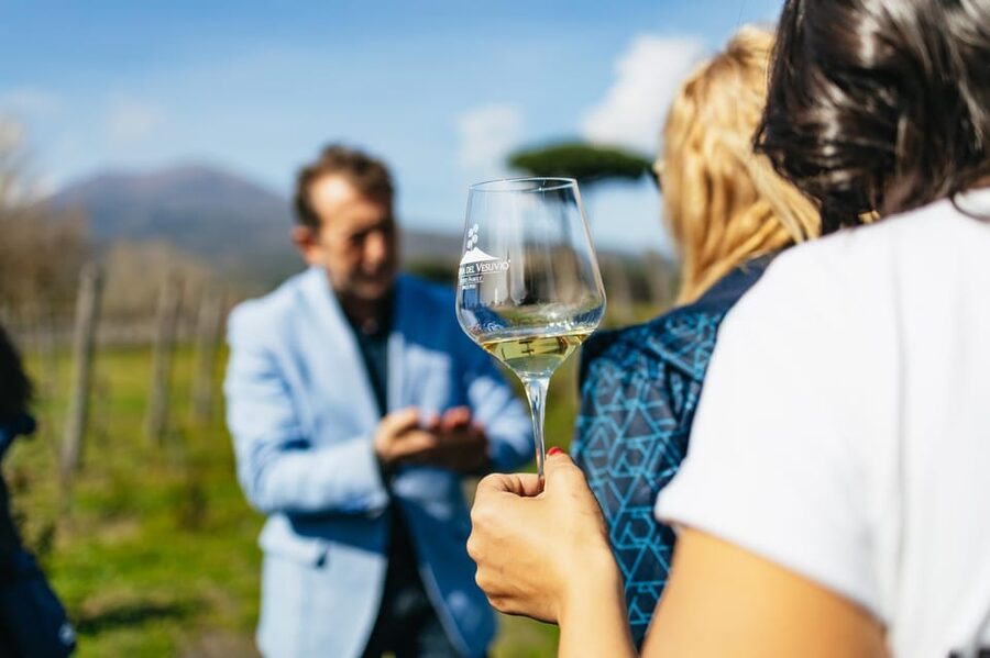 Naples: Pompeii and Mt. Vesuvius with Lunch and Wine Tasting - Key Points to Know Before Booking