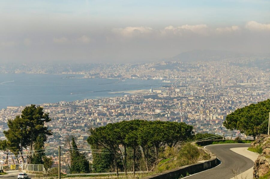 Naples: Pompeii and Mt. Vesuvius with Lunch and Wine Tasting - A Vineyard Lunch on the Slopes of Vesuvius