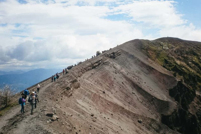 Naples: Pompeii and Vesuvius Day Trip - Pickup and the seven-hour schedule