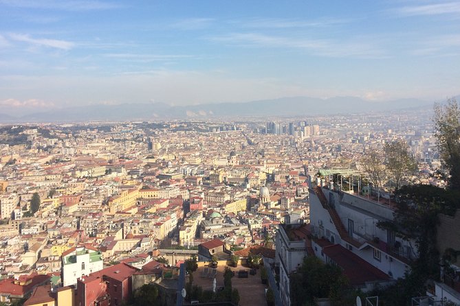 Naples, Pompeii and Vesuvius full day tour from Naples - Guide quality can make or break the day