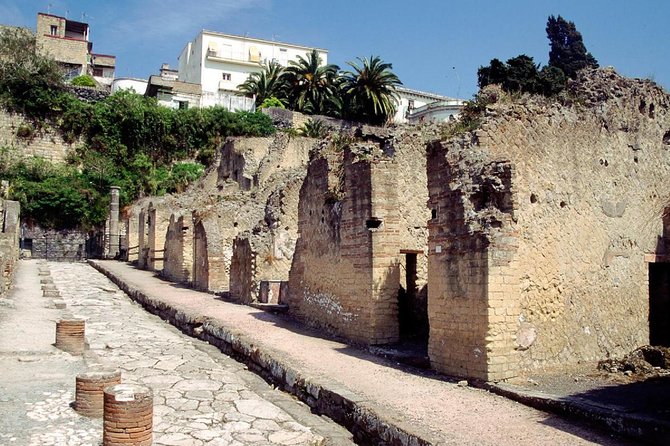 Naples: Pompeii, Herculaneum, and Vesuvius Tour by Minivan - Why this three-stop plan appeals