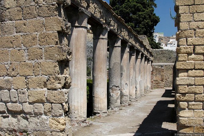 Naples: Pompeii, Herculaneum, and Vesuvius Tour by Minivan - Food and the daily schedule