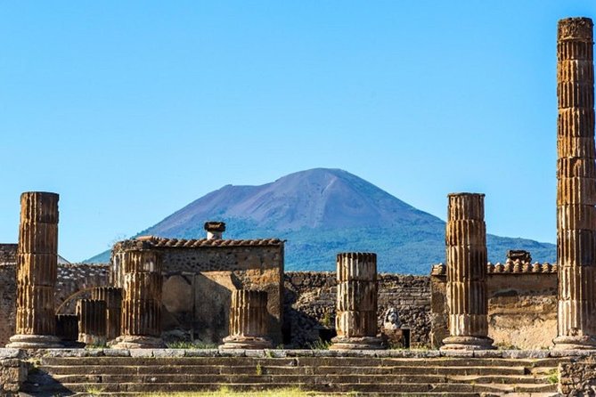 Naples: Pompeii, Herculaneum, and Vesuvius Tour by Minivan - Who should book this day?