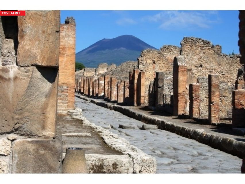 Naples: Pompeii, Herculaneum, and Vesuvius Tour by Minivan - Is $192.58 a fair price?
