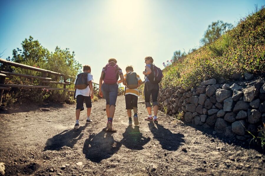 Naples: Pompeii & Mt. Vesuvius Day Trip with Tickets & Lunch - Lunch between the ruins and the volcano