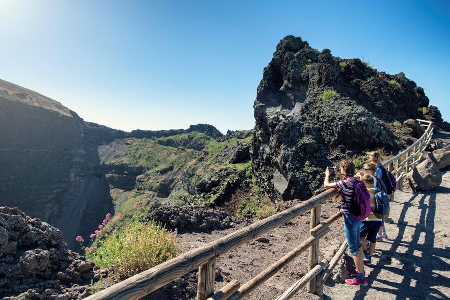 Naples: Pompeii & Mt. Vesuvius Day Trip with Tickets & Lunch - Choosing the summit or Valley of Hell