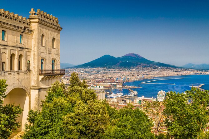 Naples/Salerno Port: Pompeii & Vesuvius - lunch or wine tasting - Free Time at Vesuvius National Park