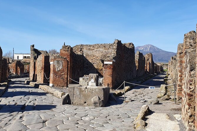 Naples: Tour of Mt Vesuvius and Pompeii w/ Lunch & Wine tasting - Starting from Naples at 8 a.m.