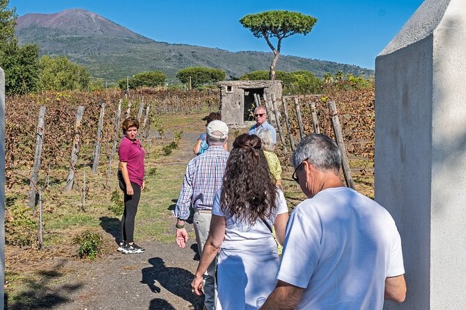 Naples: Tour of Mt Vesuvius and Pompeii w/ Lunch & Wine tasting - Who will enjoy this day most?