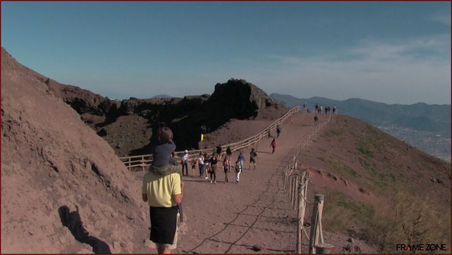 Naples: Vesuvius Half-Day Trip with Lunch and Wine Tasting - Driving up to 1,000 meters