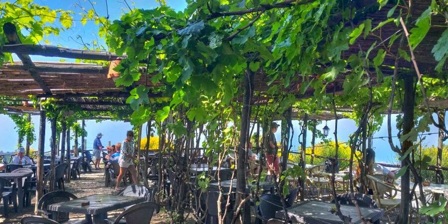 Naples: Vesuvius Half-Day Trip with Lunch and Wine Tasting - Who will enjoy this Vesuvius outing?