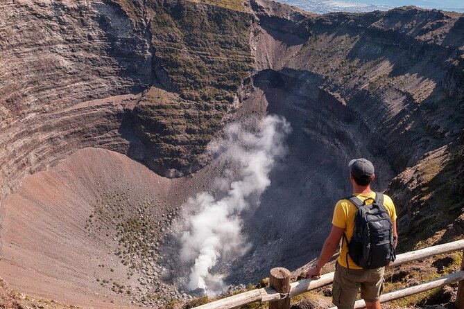 Naples: visit vesuvius skip the Line tickets with roundtrip bus - Receiving your ticket at Vesuvius National Park